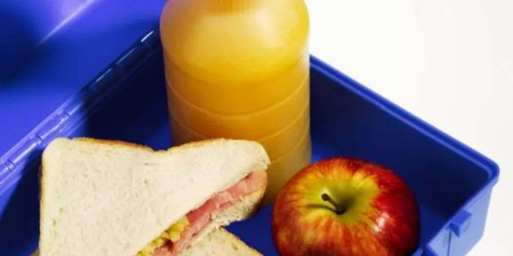 Imagem ilustrativa da imagem Sobrepeso e a obesidade infantil podem começar na lancheira escolar