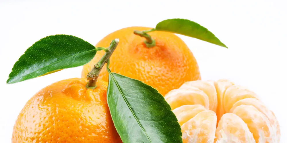 Imagem ilustrativa da imagem Ponkan e Mexerica: existe diferença?