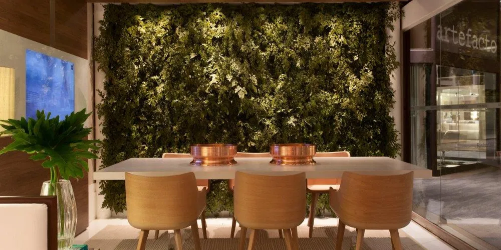 Imagem ilustrativa da imagem Arquitetas dão dicas para criar jardins dentro de casa