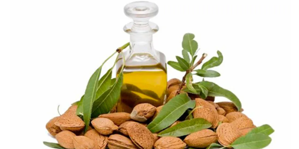 Imagem ilustrativa da imagem A saúde dos seus cabelos começa pela raiz