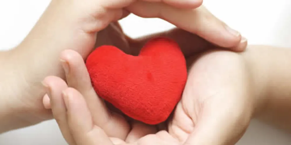 Imagem ilustrativa da imagem Terapia, sinônimo de saúde