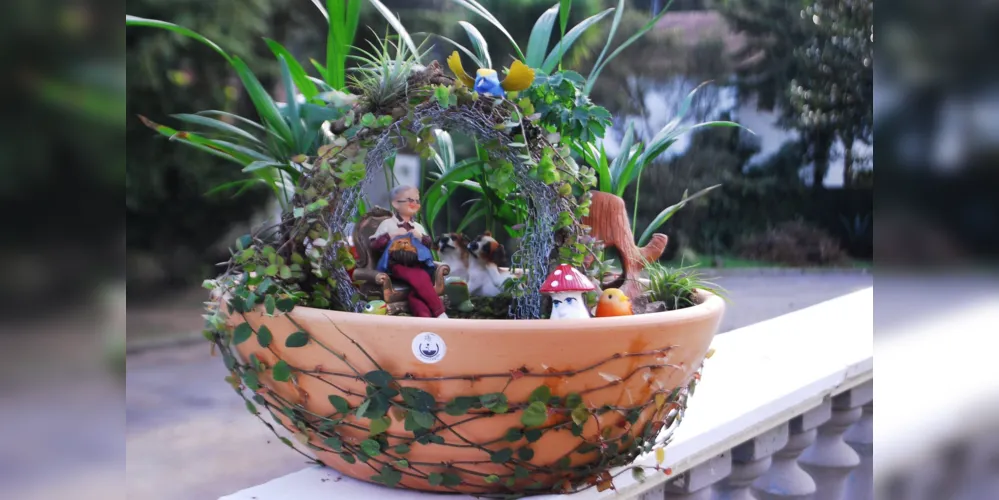 Imagem ilustrativa da imagem Cuidar de plantas é um exercício físico e mental