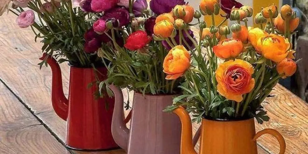 Imagem ilustrativa da imagem Decoração de primavera: cinco dicas para investir