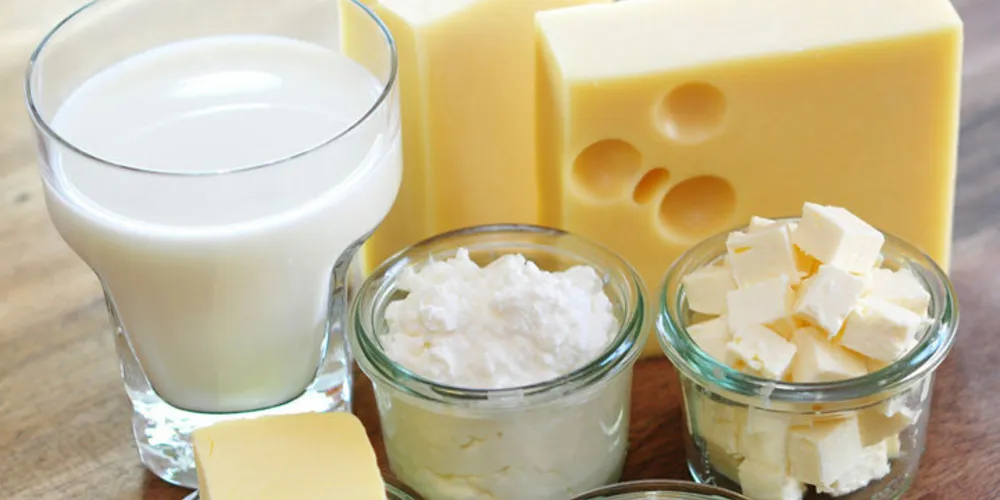 Imagem ilustrativa da imagem Nove razões para manter produtos lácteos na dieta