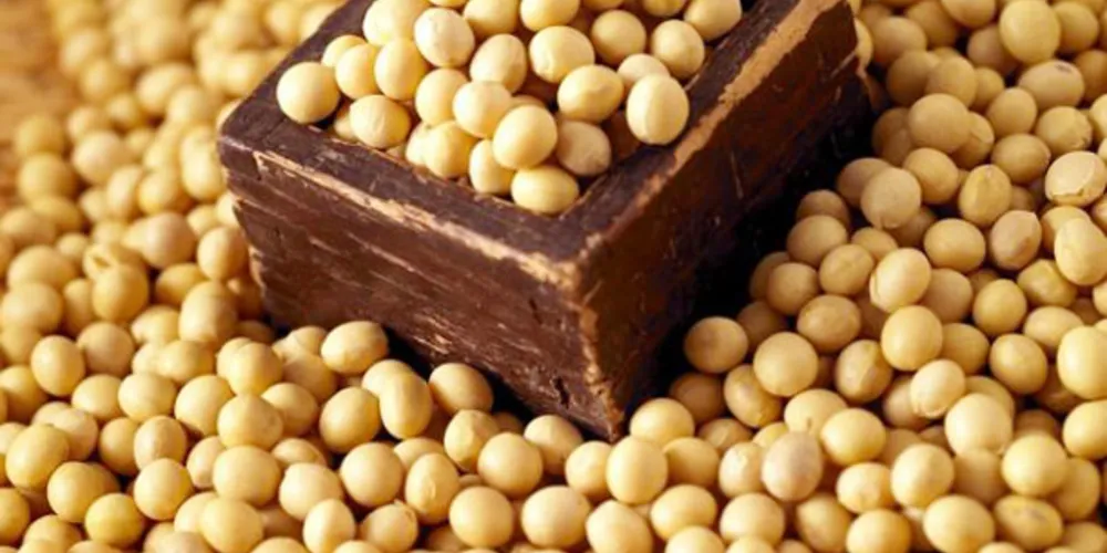 Imagem ilustrativa da imagem Você considera a soja um alimento saudável?