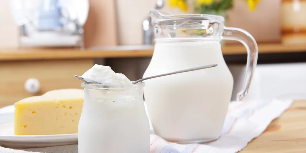 Imagem ilustrativa da imagem Nutricionista dá dicas para 'driblar' intolerância à lactose