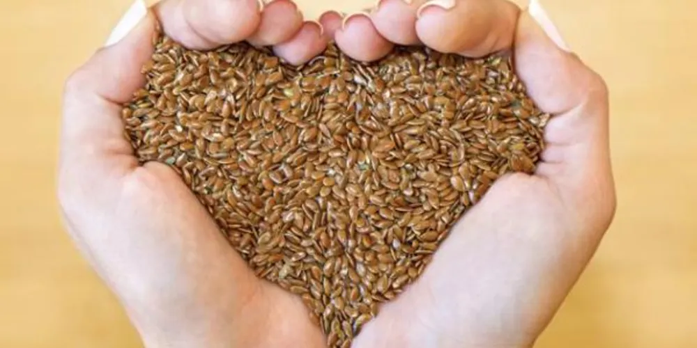 Imagem ilustrativa da imagem Linhaça: o amigo do coração e das mulheres