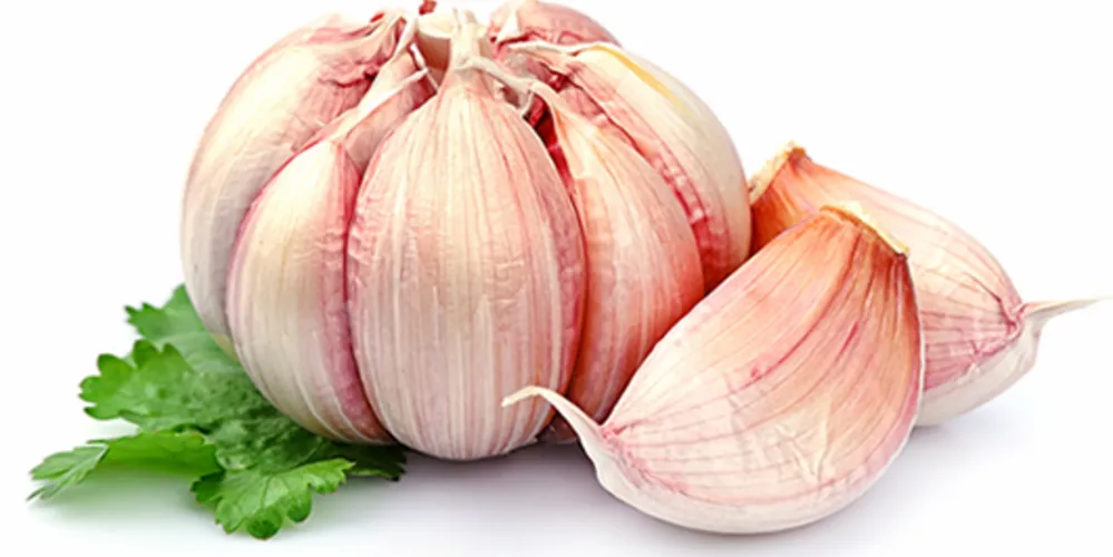 Imagem ilustrativa da imagem Benefícios do alho