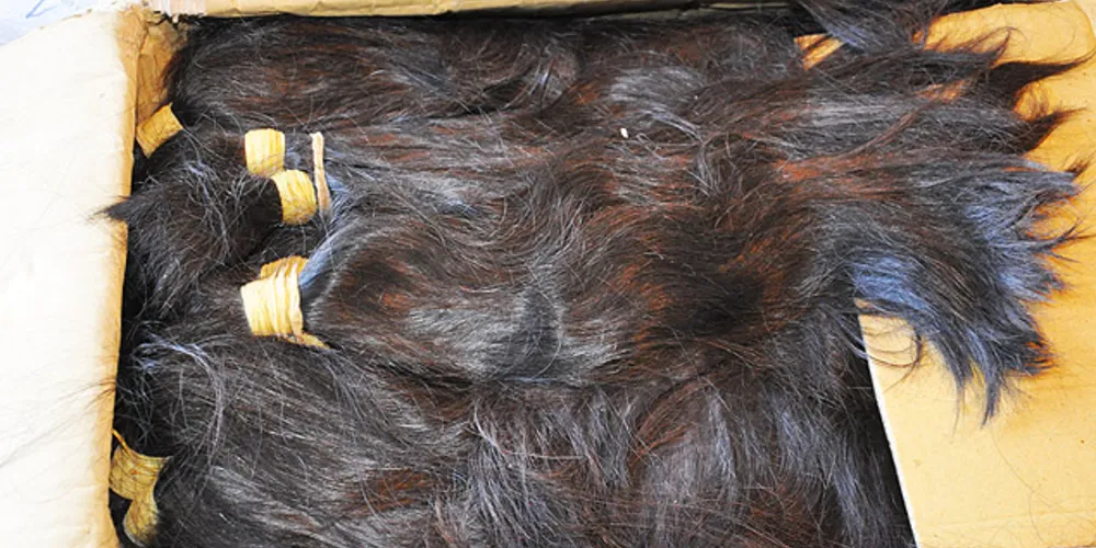Imagem ilustrativa da imagem Carga milionária de cabelo é apreendida em aeroporto