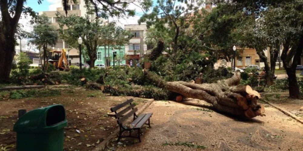 Imagem ilustrativa da imagem Prefeitura e Fundação se manifestam sobre praça