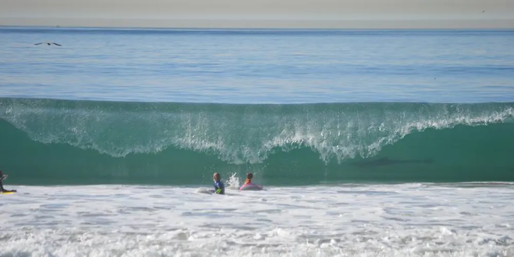 Imagem ilustrativa da imagem Mulher fotografa filho surfando e flagra tubarão em onda