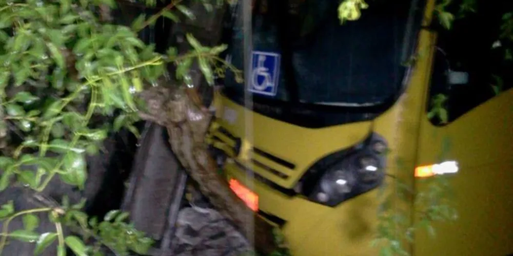Imagem ilustrativa da imagem Onibus acabou batendo em Poste na região Central