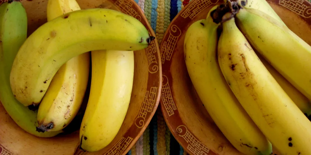 Imagem ilustrativa da imagem Polícia dá 96 bananas a suspeito para encontrar corrente de ouro