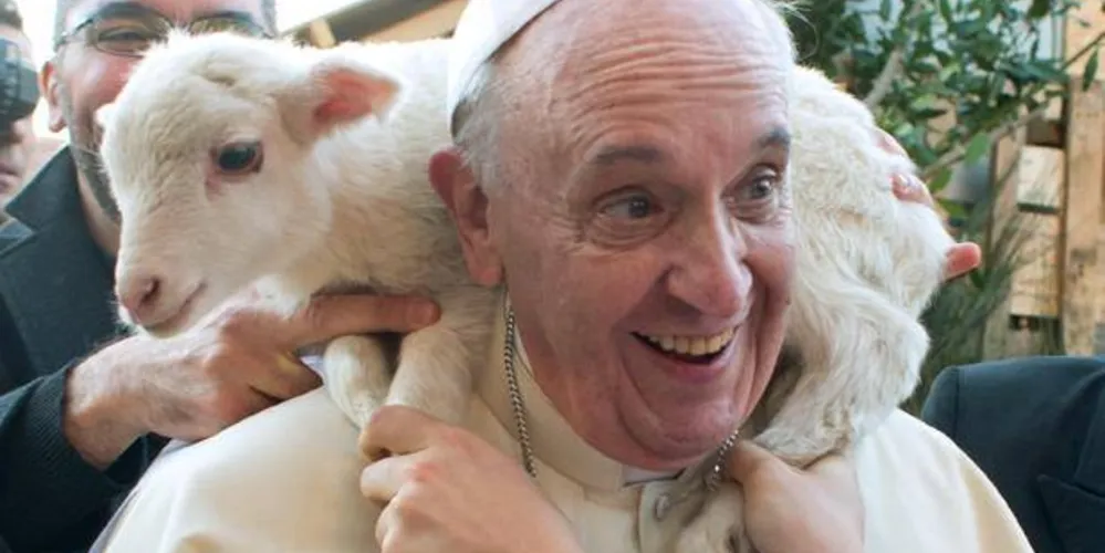 Imagem ilustrativa da imagem Papa visita presépio vivo e brinca com cordeiro