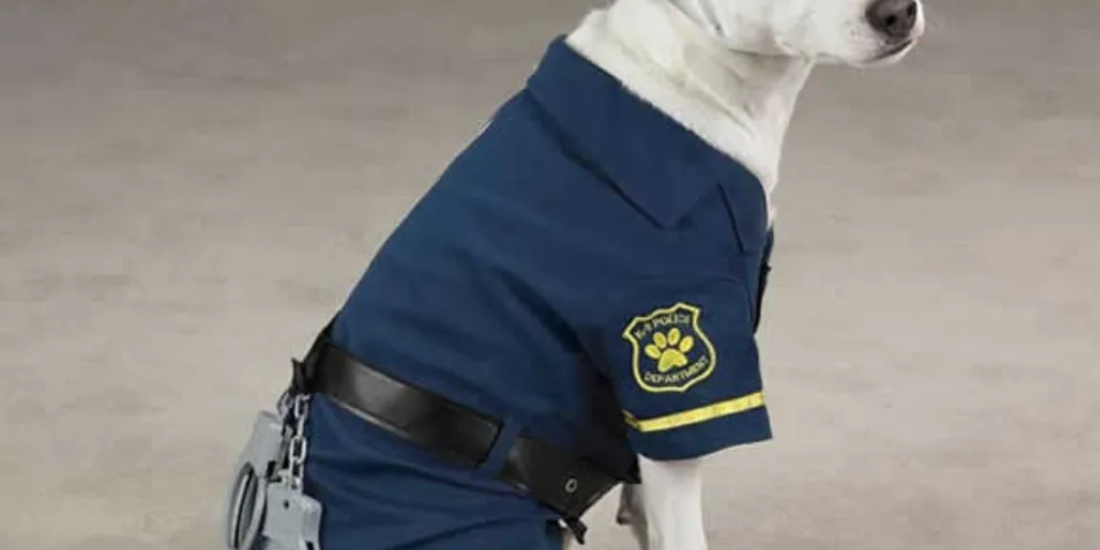 Imagem ilustrativa da imagem 'Guarda canino' dispara alarme em banco