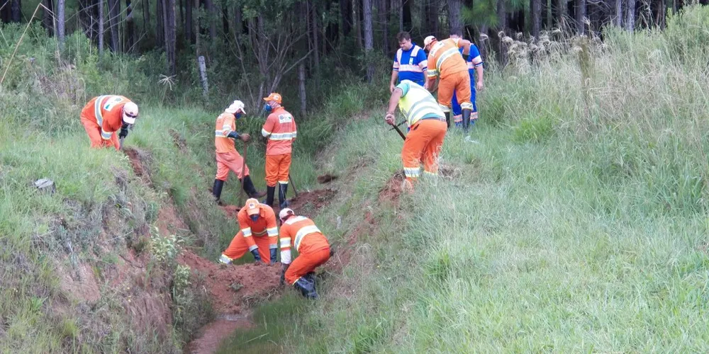 Imagem ilustrativa da imagem IAP descarta contaminação de córrego por gasolina
