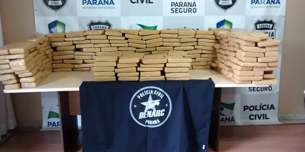 Imagem ilustrativa da imagem Denarc apreende mais de 400 quilos de maconha