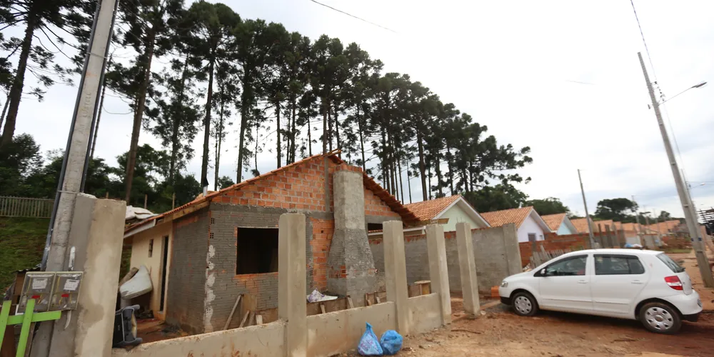 Imagem ilustrativa da imagem Defesa Civil corta pinheiros que ameaçam casas