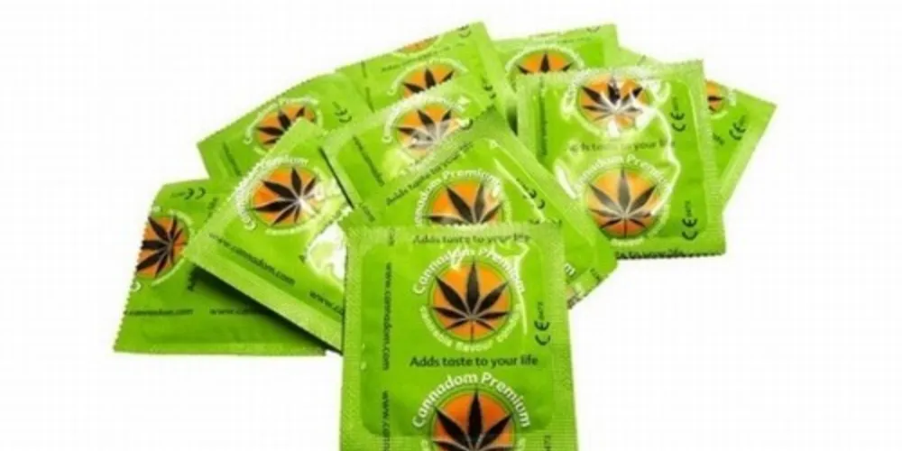 Imagem ilustrativa da imagem Empresa cria camisinha sabor maconha