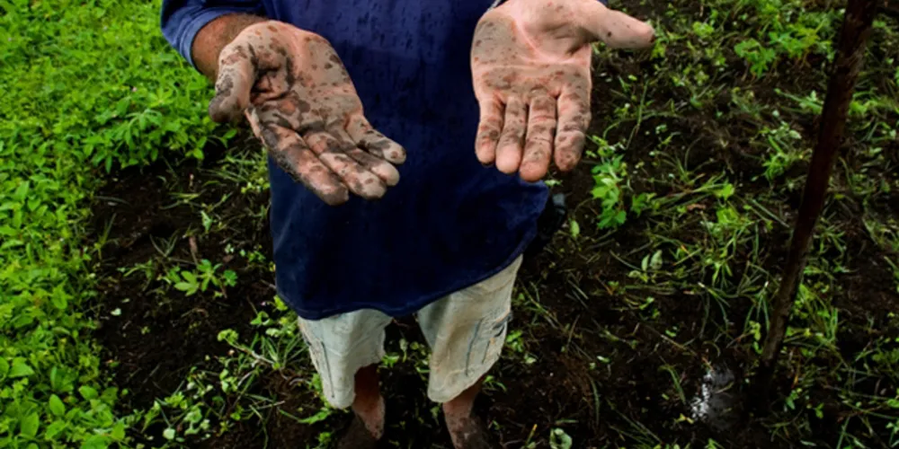 Imagem ilustrativa da imagem Fiscalização confirma trabalho escravo em propriedade rural