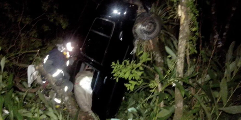 Imagem ilustrativa da imagem Carro cai de barranco e fica pendurado em árvore