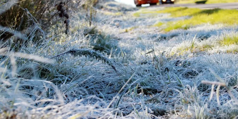 Imagem ilustrativa da imagem Simepar prevê geada na segunda quinzena de abril