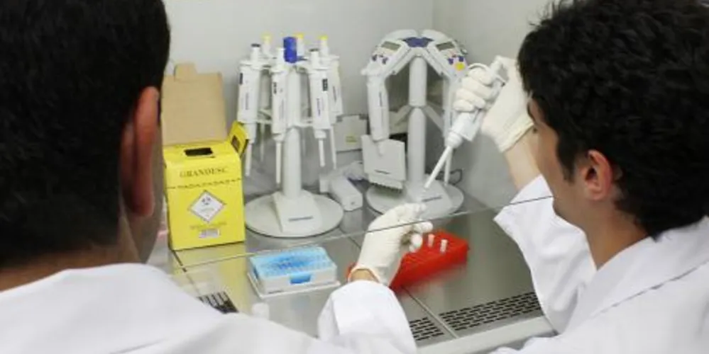 Imagem ilustrativa da imagem Laboratório seleciona testes alternativos ao uso de animais