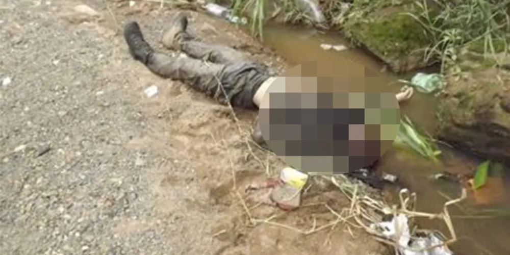 Imagem ilustrativa da imagem Jovem é morto a pauladas e jogado em arroio