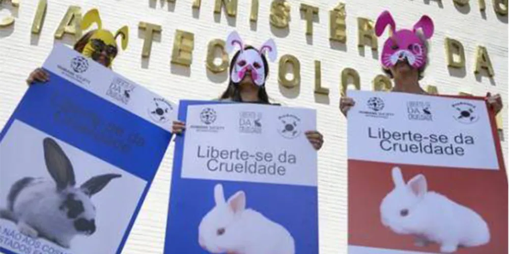 Imagem ilustrativa da imagem Grupo protocola documento contra testes em animais