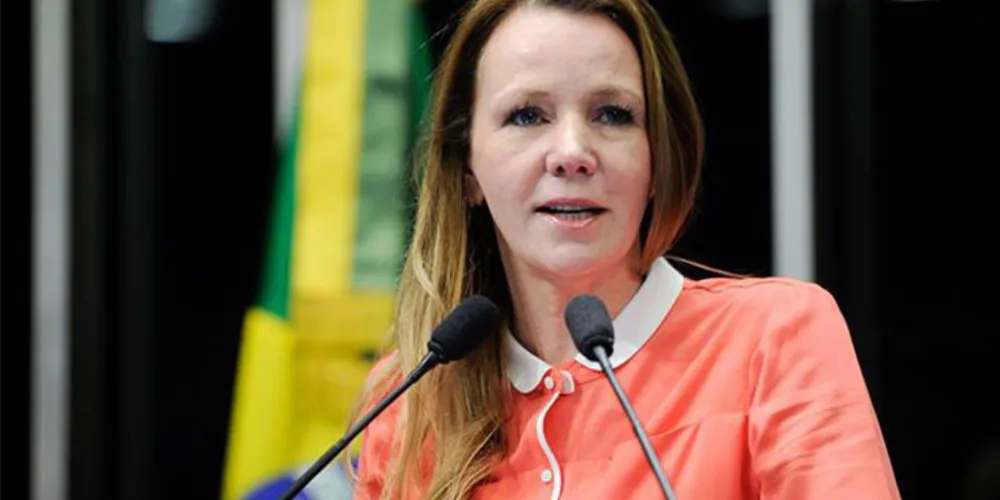 Imagem ilustrativa da imagem Participação das mulheres na política ainda é desafio