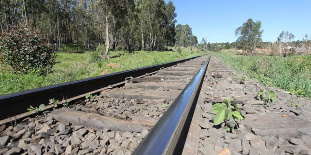Imagem ilustrativa da imagem Ferrovia que passa pelo 'Alagados' é interditada
