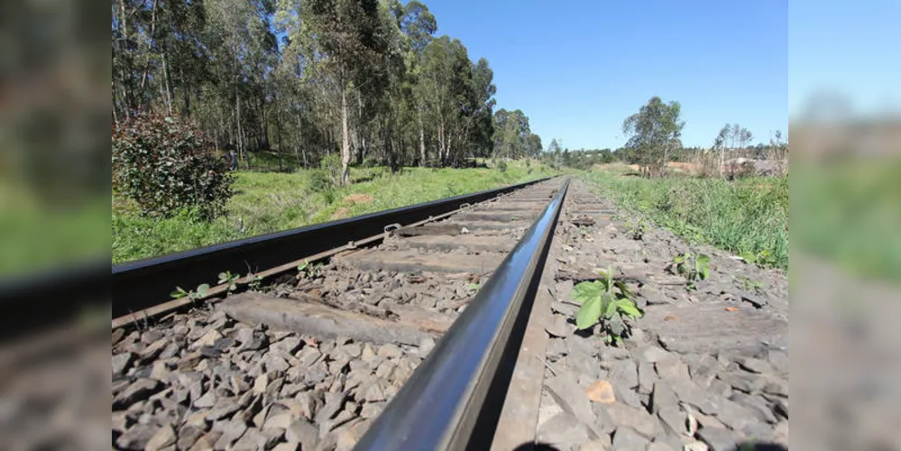 Imagem ilustrativa da imagem Ferrovia que passa pelo 'Alagados' é interditada