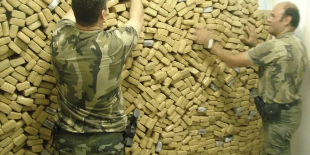 Imagem ilustrativa da imagem Polícia Ambiental encontra 937 kg de maconha em matagal