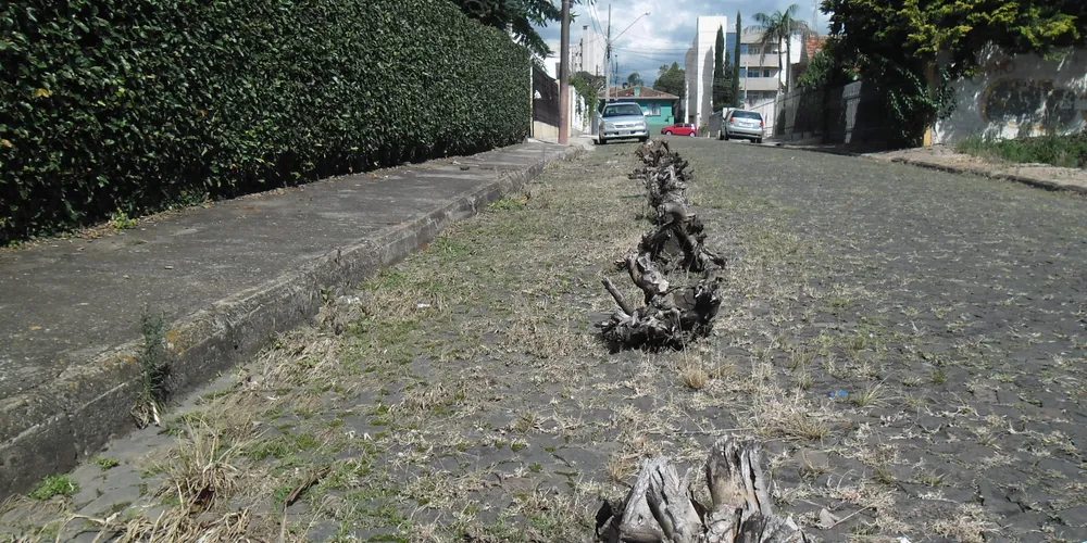 Imagem ilustrativa da imagem Obstrução...