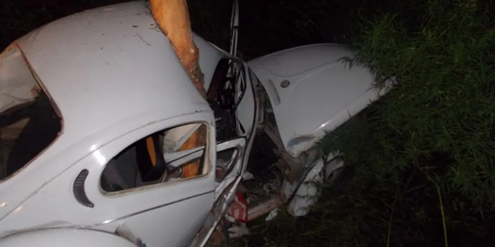 Imagem ilustrativa da imagem Fusca fica destruído após bater em árvore na BR-153