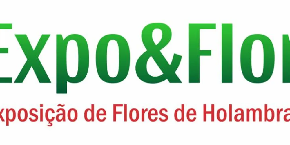 Imagem ilustrativa da imagem Rotary Alagados abre inscrição para entidades 