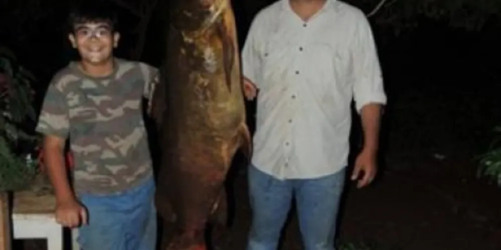 Imagem ilustrativa da imagem Menino fisga peixe de 63 kg no Rio Paraná