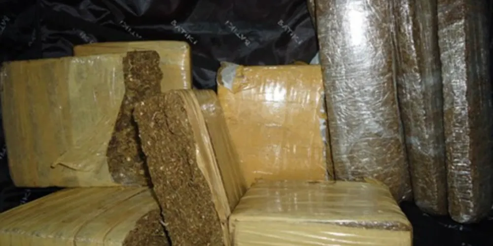 Imagem ilustrativa da imagem Polícia apreende 7 Kg de maconha em Arapoti