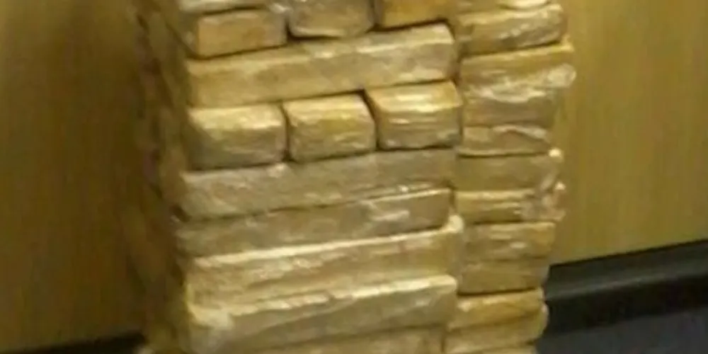 Imagem ilustrativa da imagem PF apreende veículos e 70 kg de maconha