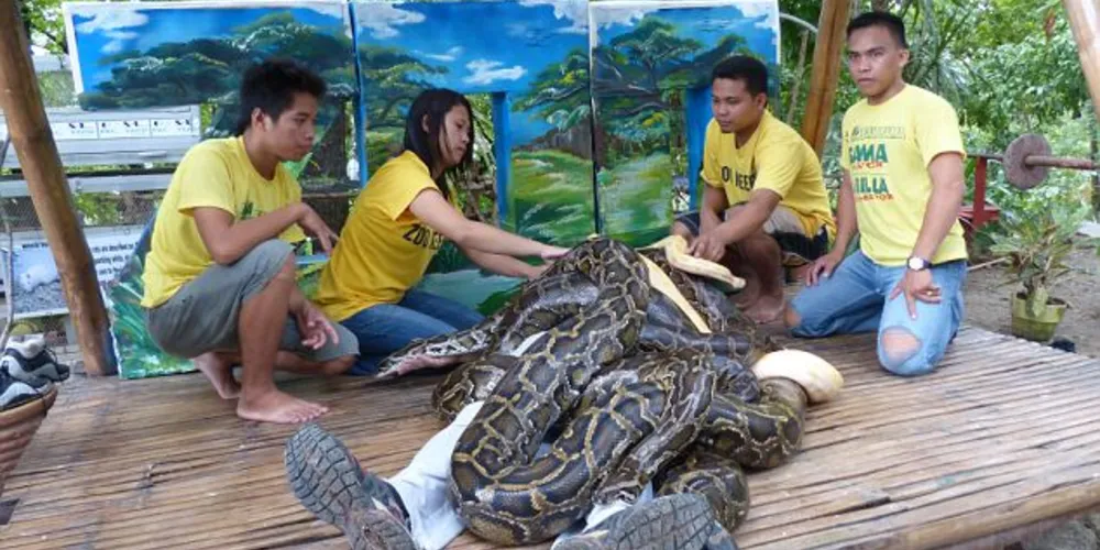 Imagem ilustrativa da imagem Massagem com cobras atrai turistas