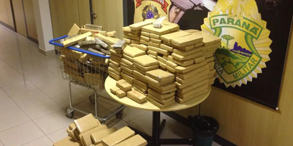 Imagem ilustrativa da imagem Ação conjunta apreende 360 kg de maconha na BR-277