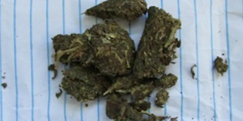 Imagem ilustrativa da imagem Menino de 5 anos dá maconha de presente para professora