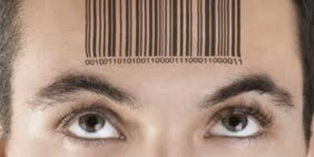 Imagem ilustrativa da imagem Conheça os 12 princípios do consumo consciente
