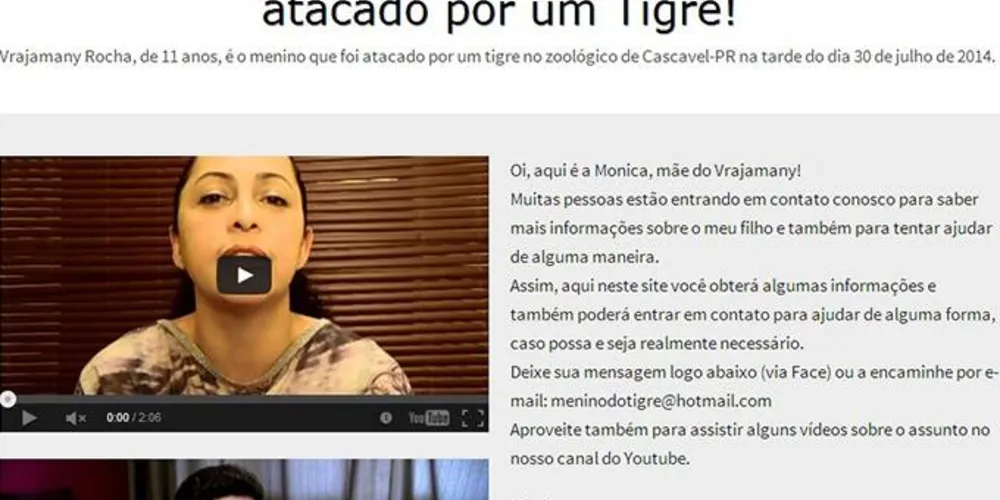 Imagem ilustrativa da imagem Mãe de garoto atacado por tigre cria site para pedir doações