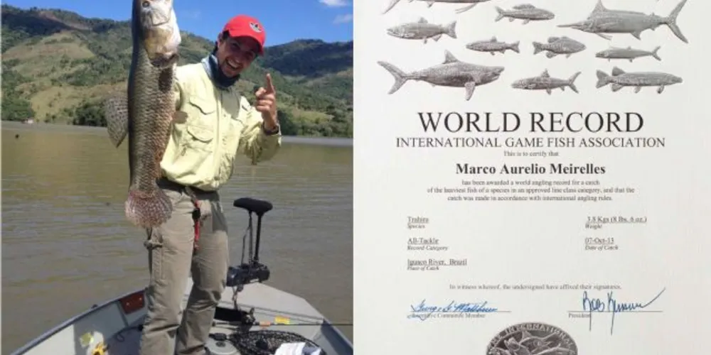 Imagem ilustrativa da imagem Paranaense quebra recorde mundial de maior traíra pescada