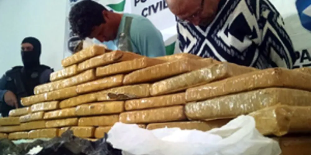 Imagem ilustrativa da imagem Polícia encontra mais de 70 kg de drogas em assoalho de casa