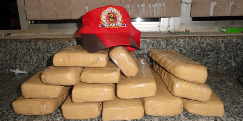 Imagem ilustrativa da imagem PRF apreende mais de 12kg de maconha em ônibus