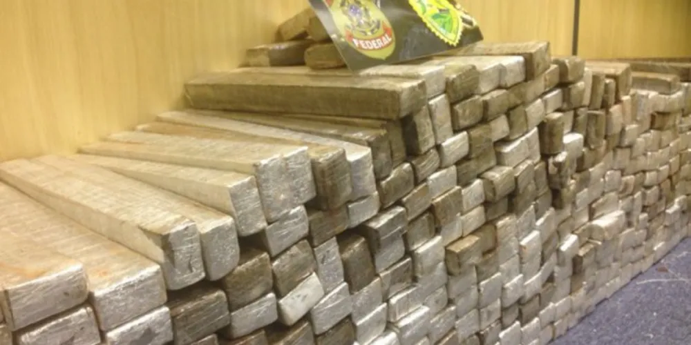 Imagem ilustrativa da imagem Polícia Federal e Militar apreendem 616kg de maconha 
