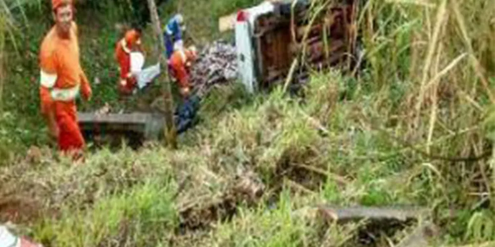 Imagem ilustrativa da imagem PRF apreende mais de 800 kg de maconha na BR-376