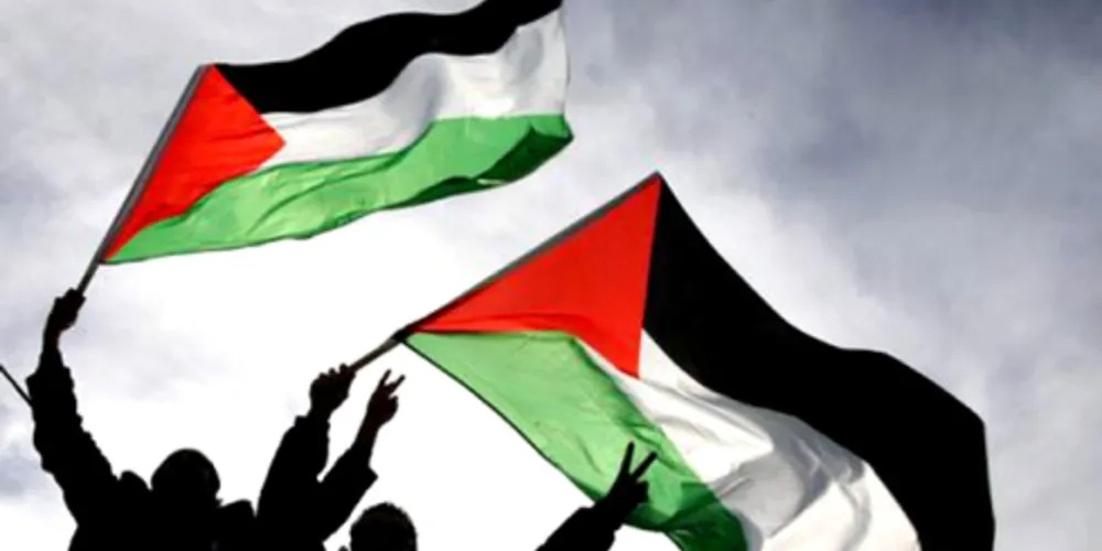 Imagem ilustrativa da imagem Ponta-grossenses se mobilizam por paz na Faixa de Gaza
